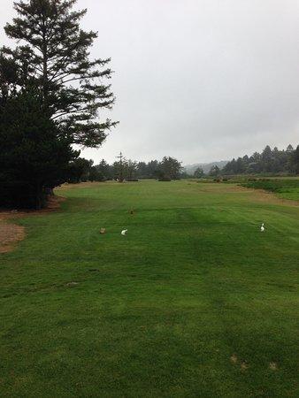 Neskowin Beach Golf Course