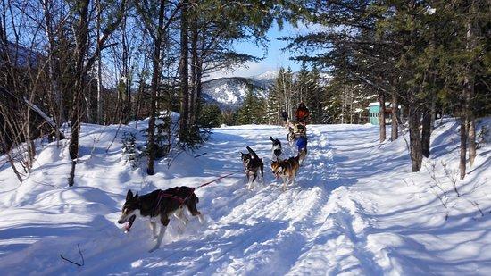 Descente Malbaie