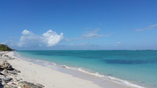 Pelican Beach