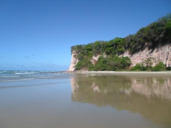 Dolphin Bay