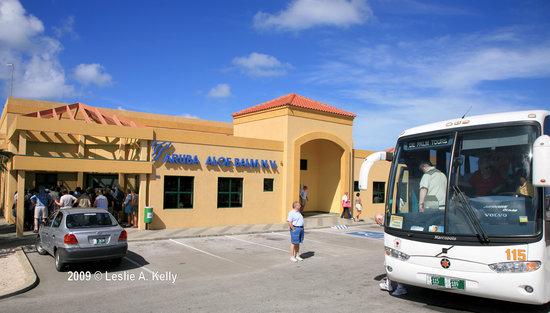 Aruba Aloe Museum Factory and Store