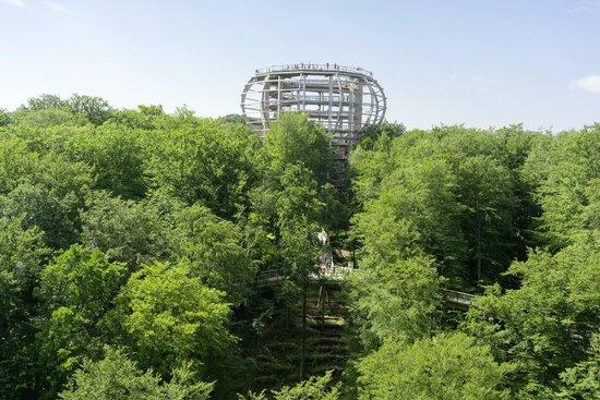 Riserva naturale Naturerbe-Zentrum Rügen