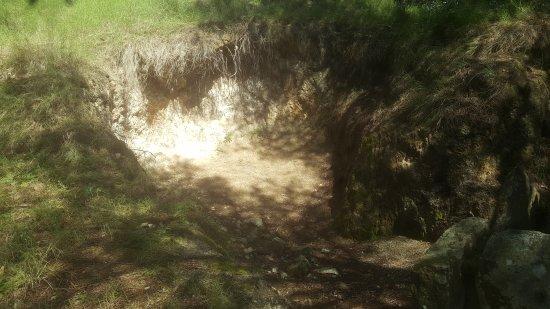 Cova Sepulcral de la costa de Can Martorell