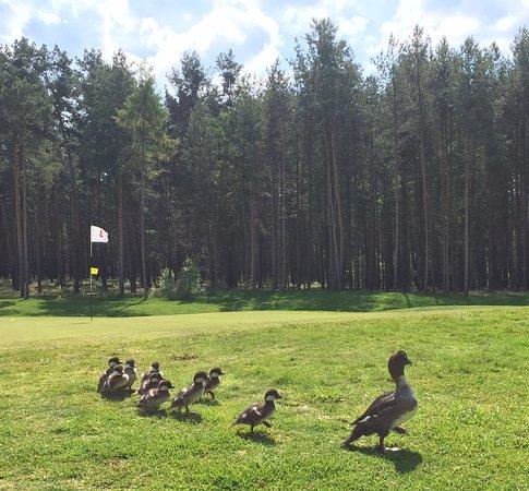 Golf- und Country Club Motzener See