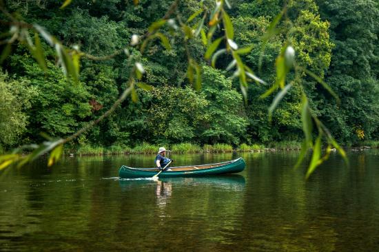 Want to Canoe?