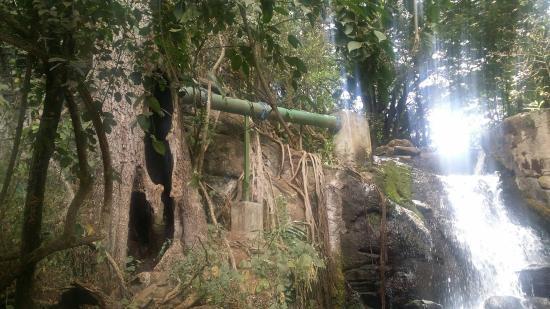 Oloolua Nature Trail