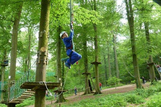 Tree Climber