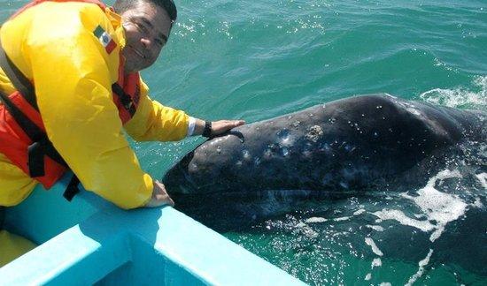 Malarrimo Eco-Tours