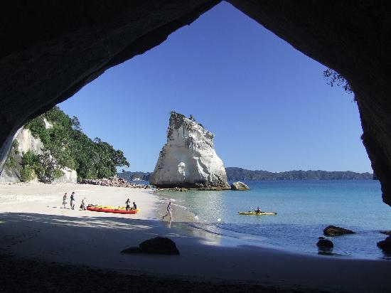 Cathedral Cove Kayak Tours