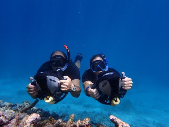 Aruba Bob Snorkeling