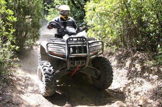 Umbria in Quad
