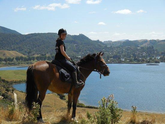 Horse Trekking Lake Okareka