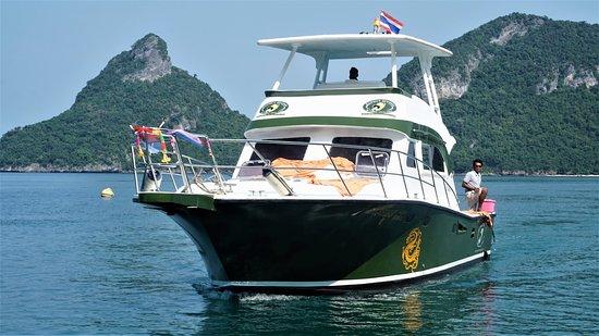 Bophut Diving Tours