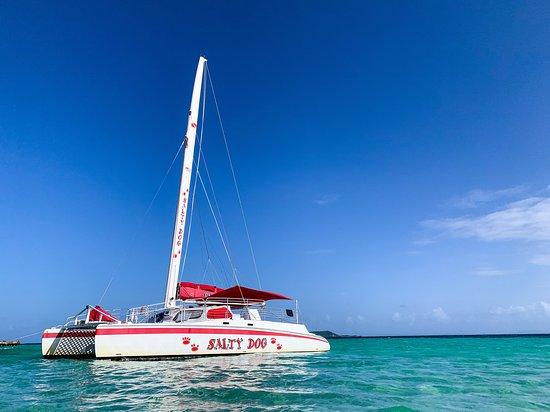 Salty Dog Catamaran