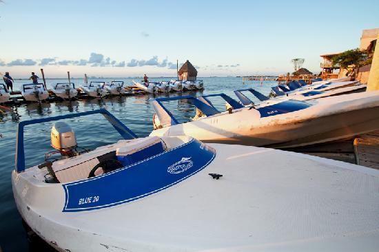Cancun Jungle Tours