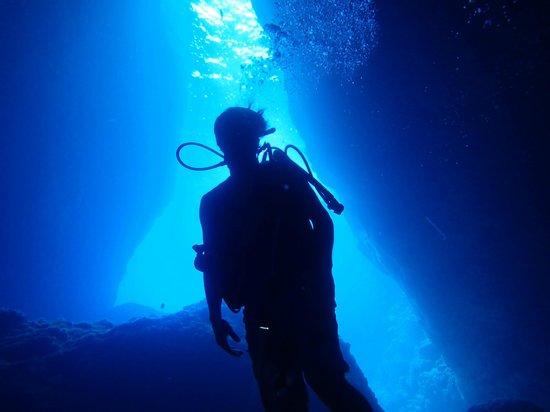 Axe Murderer Dive Tours