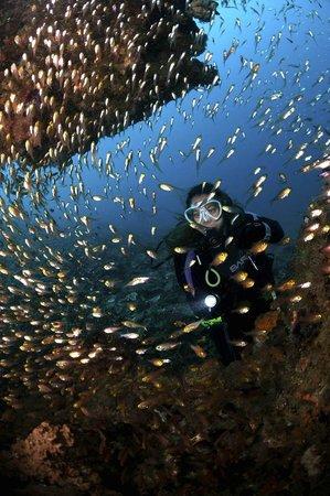 Two Fish Divers South Lombok