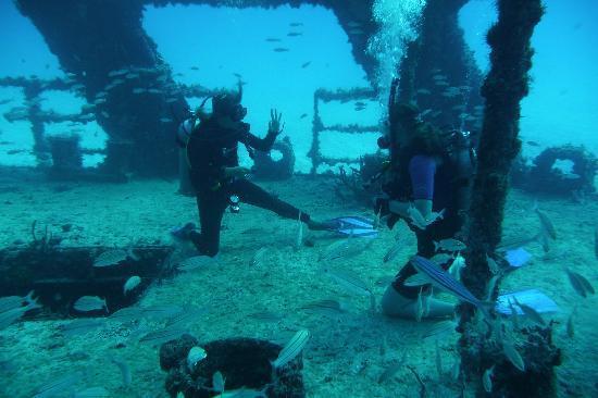Aquanauts Dive Adventures
