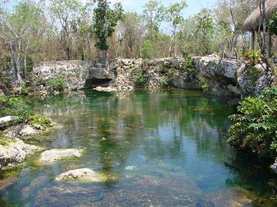 Mayan Jungle Tour