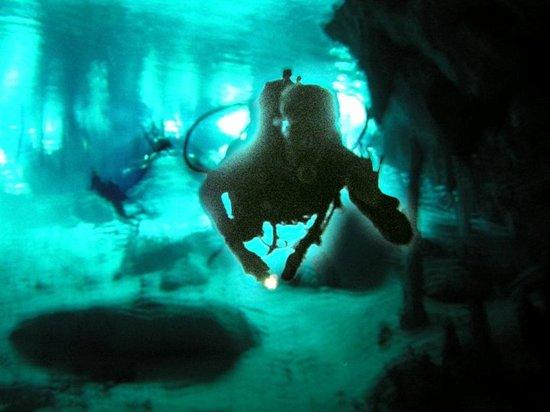 Ecodiving Tours