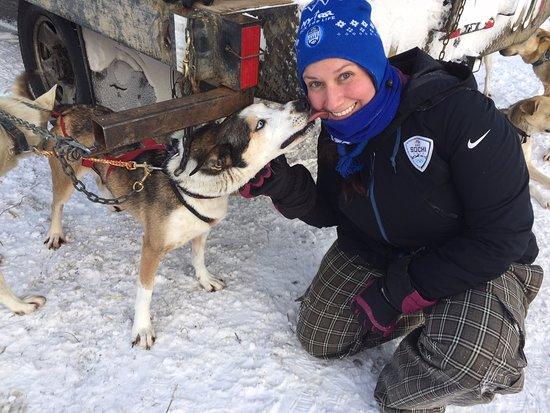 Revelstoke Dogsled Adventures