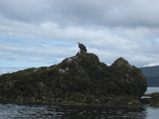 A Seaside Adventure