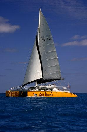 Sail Wild Hearts