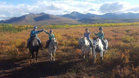 Denali Horseback Tours