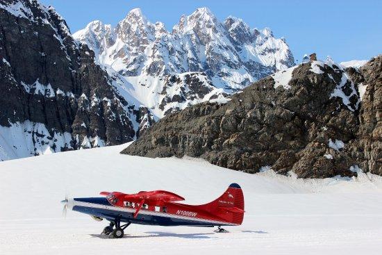 Talkeetna Air Taxi