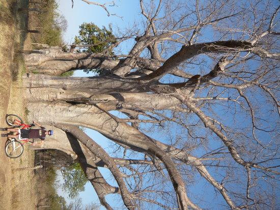 Bike & Saddle Day Tours