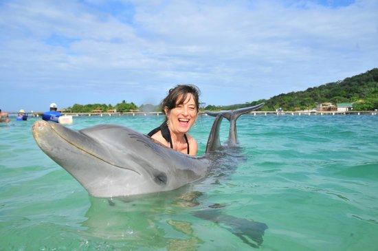 Dolphin Encounter