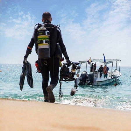 Divers Down
