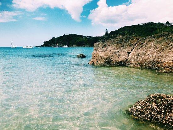 Potiki Adventures