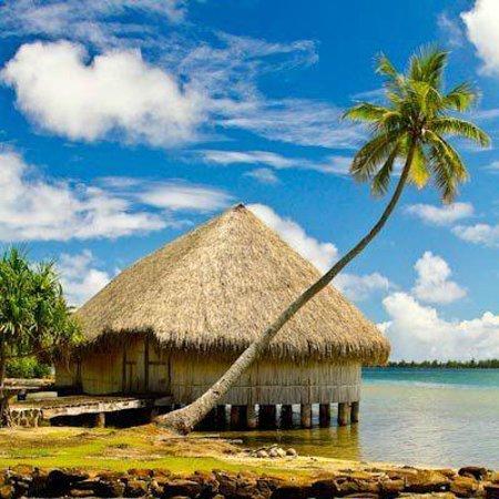 Island Eco Tours - Day Tours