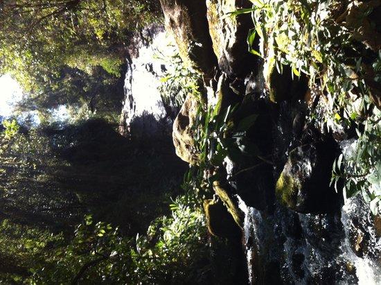 Cachoeira dos Amores