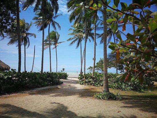 Playas de Palomino