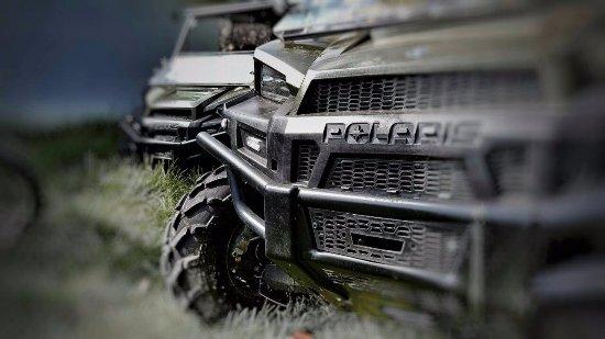Bugg's Buggy 974