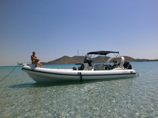 Mare in Quota