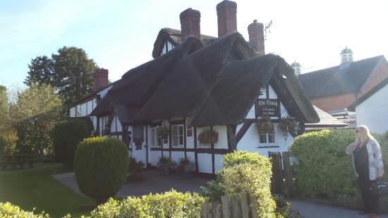 The Thatch