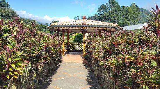 Mi Jardin Coffee Bar