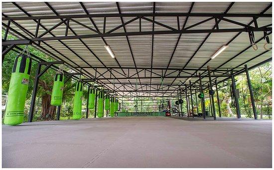 FitKoh Fitness Camp