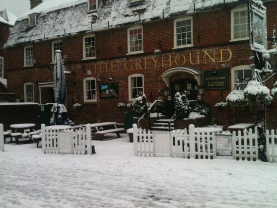 The Greyhound