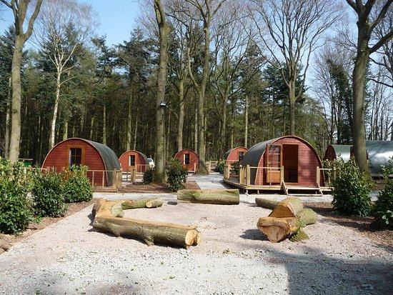 Oaker Wood Leisure