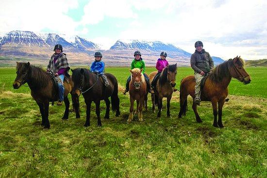 Hestasport - Riding Tours