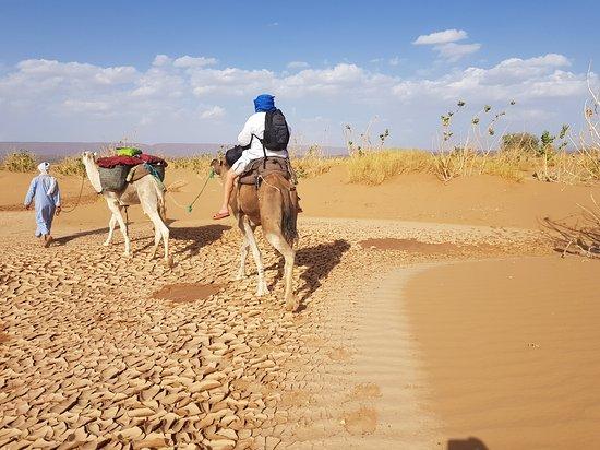 Sahara Feeling