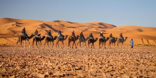 Dades Aventures - Day Tours