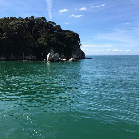 Coffee Cruise Kaiteriteri