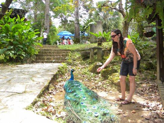 Bonito Ecoparque