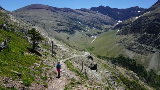 Scenic Point Trail