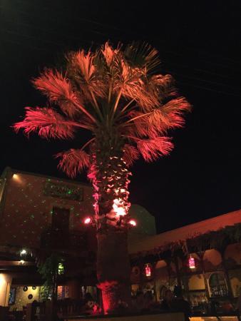 Ethnic Cocktail Bar